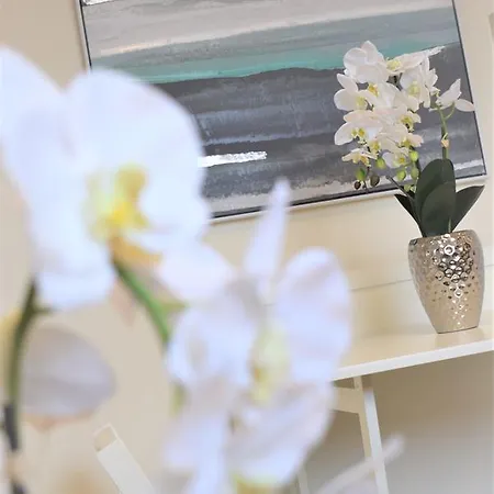 Vale - Yourapartment شقة